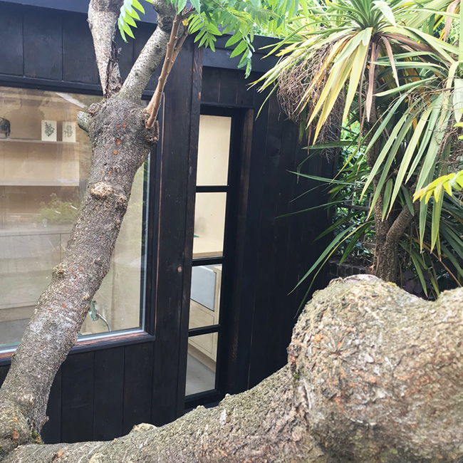 Black sho sugi ban clad garden studio with large glazed window and door