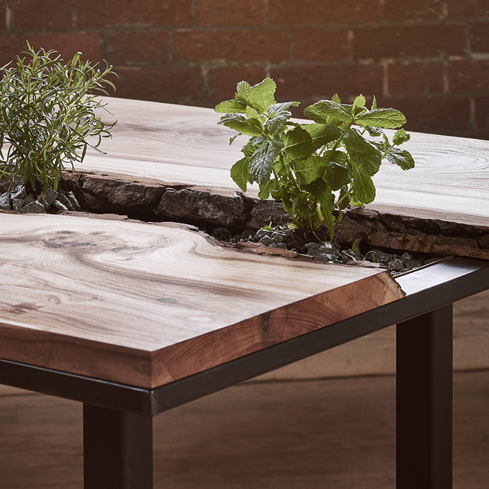 fresh herbs in the middle of the elm and copper live edge dining table with industrial black steel legs