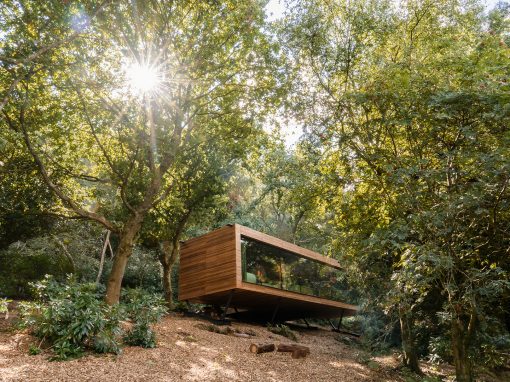 WOODLAND CABIN